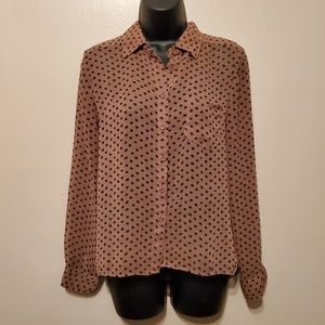 Sheer Tan and Black Button Up Blouse